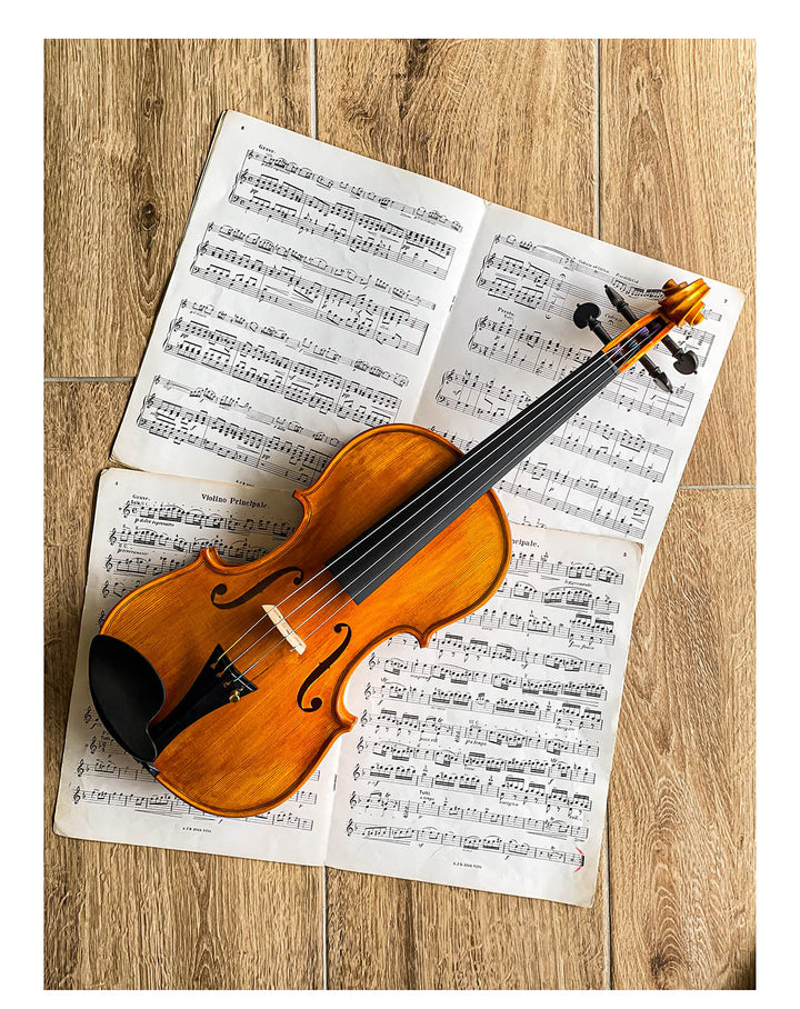 Hamburg Kinnhalter Violine Ebenholz