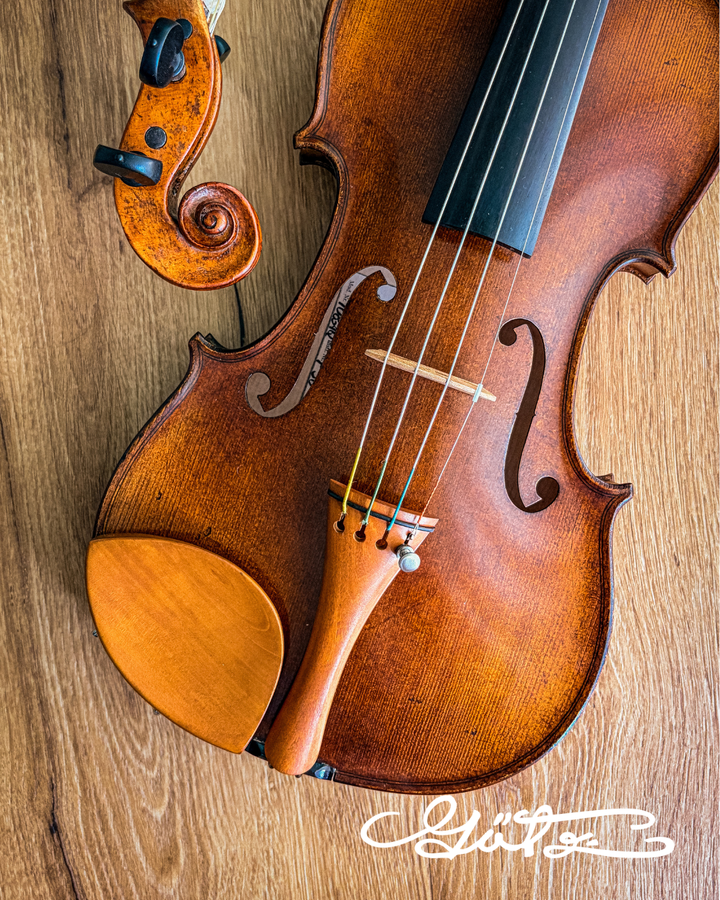 Kaufmann Kinnhalter Violine Buchsbaum, ZK-4257