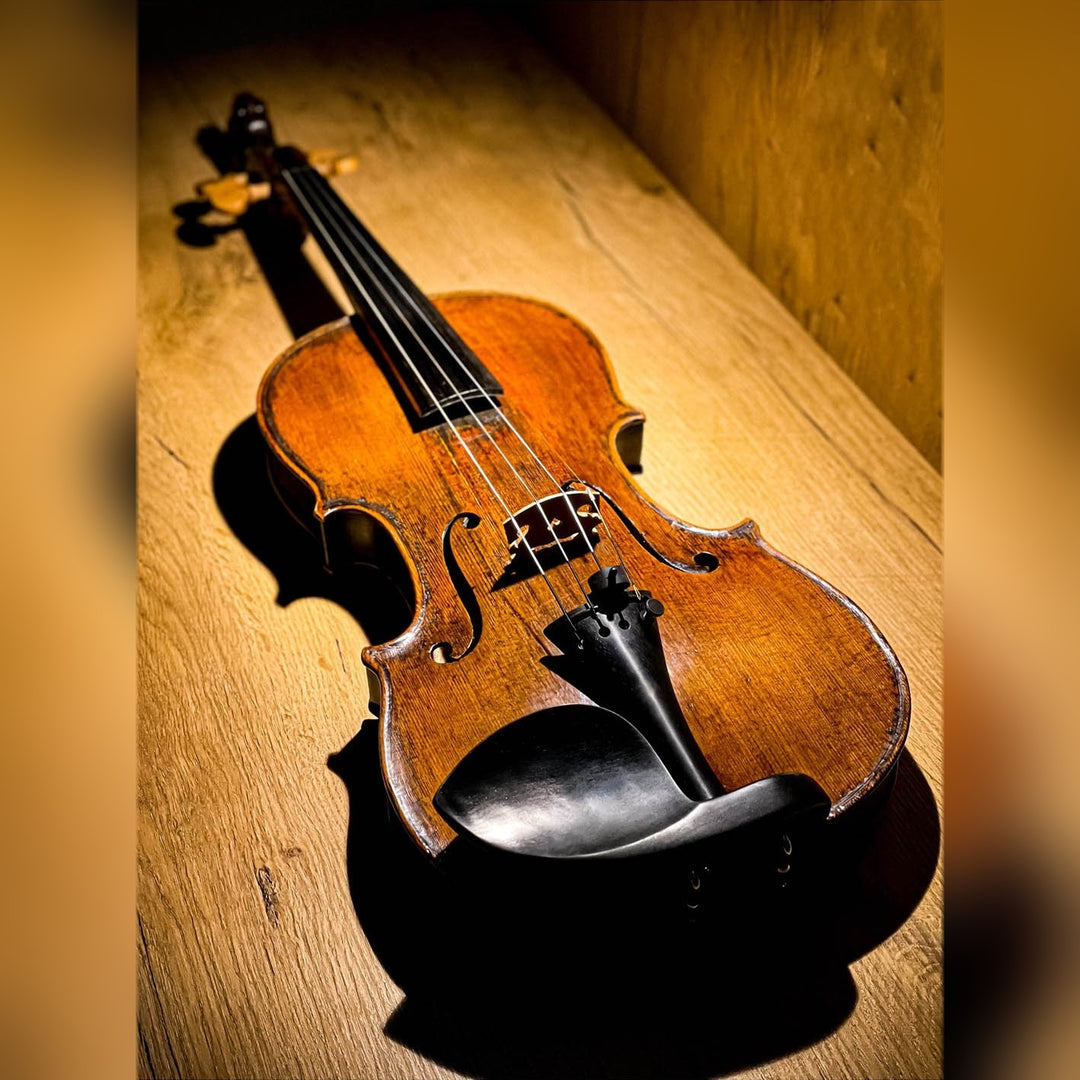 Guarneri Chinrest Violin 4/4 in Ebony, ZK-4258 