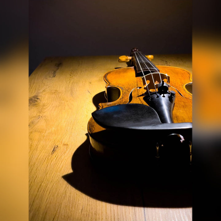 Guarneri Chinrest Violin 4/4 in Ebony, ZK-4258 