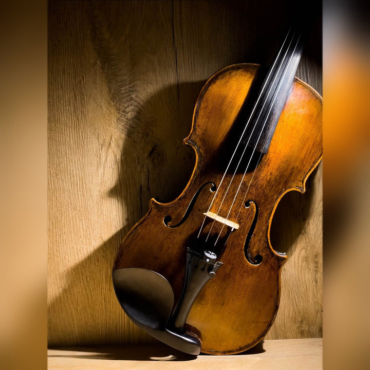 Guarneri Chinrest Violin 4/4 in Ebony, ZK-4258 