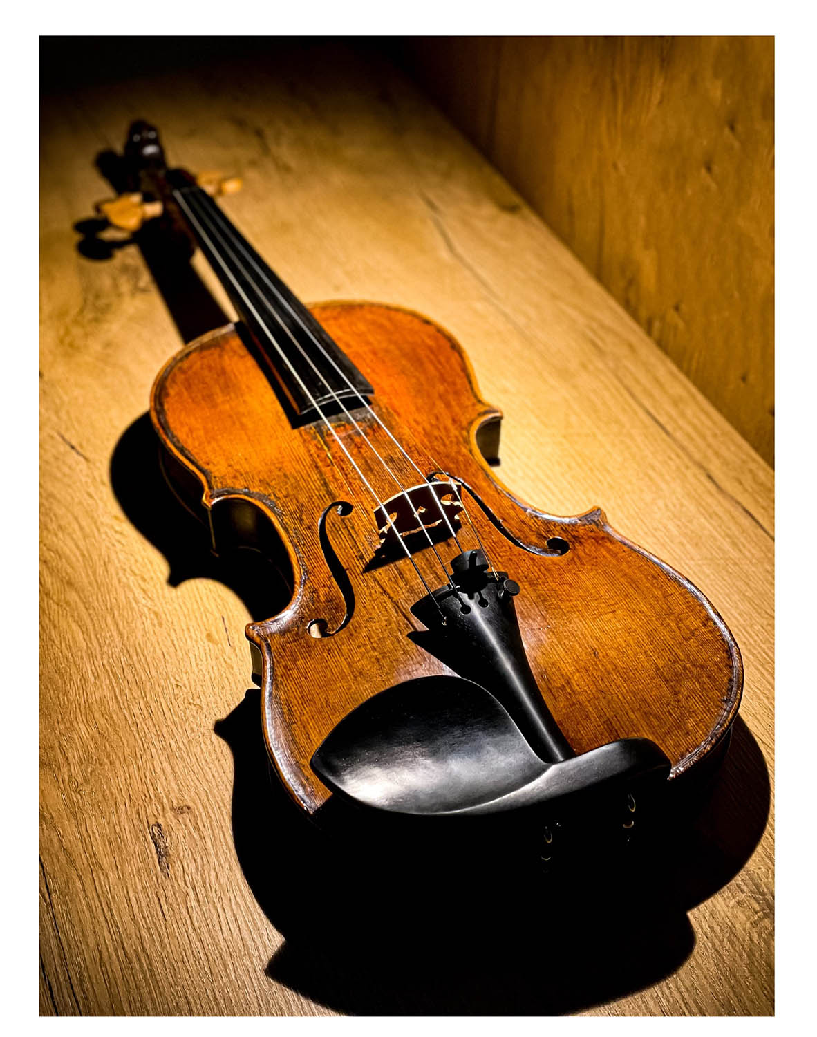 Guarneri Kinnhalter Violine Ebenholz