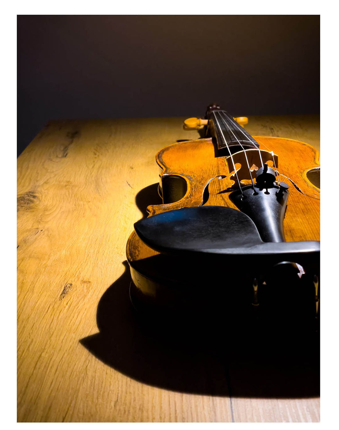 Guarneri Kinnhalter Violine Ebenholz