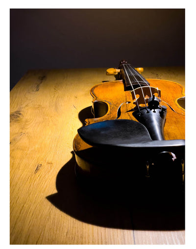 Guarneri Kinnhalter Violine Ebenholz