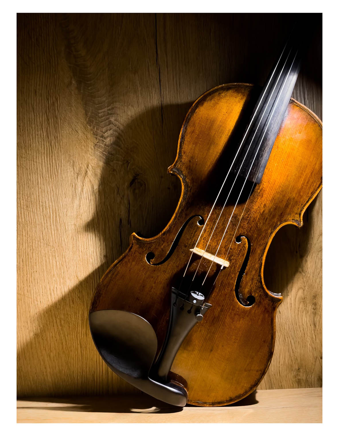 Guarneri Kinnhalter Violine Ebenholz