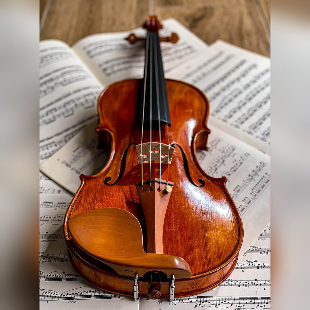 Guarneri Chinrest Violin 4/4 in Boxwood, ZK-4259
