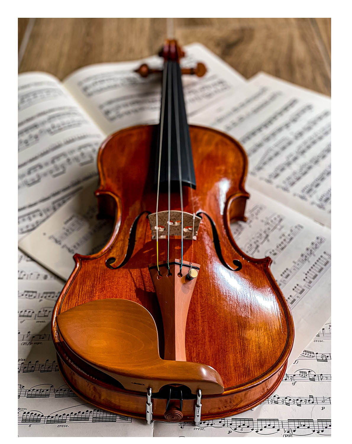 Guarneri Kinnhalter Violine Buchsbaum, ZK-4259