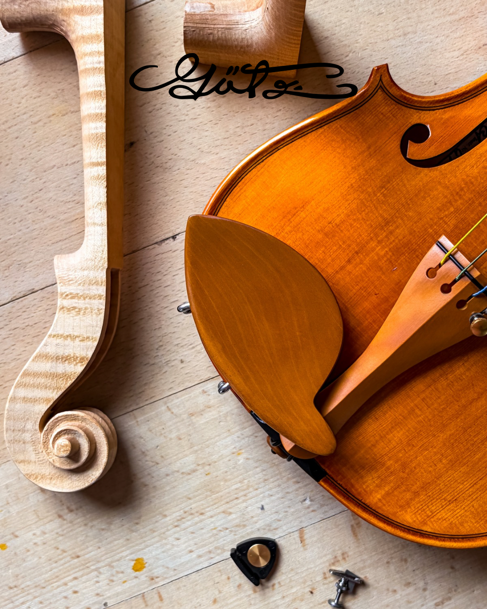 Morawetz Kinnhalter Violine Buchsbaum, ZK-4841B-HIGH