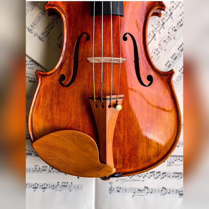 Morawetz Kinnhalter Violine Buchsbaum, ZK-4841B-MED