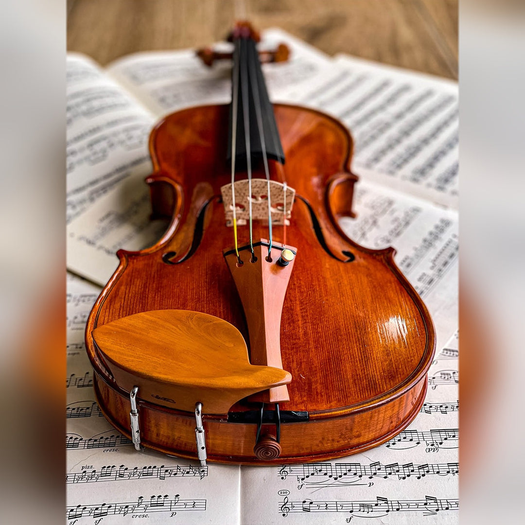 Morawetz Kinnhalter Violine Buchsbaum, ZK-4841B-MED