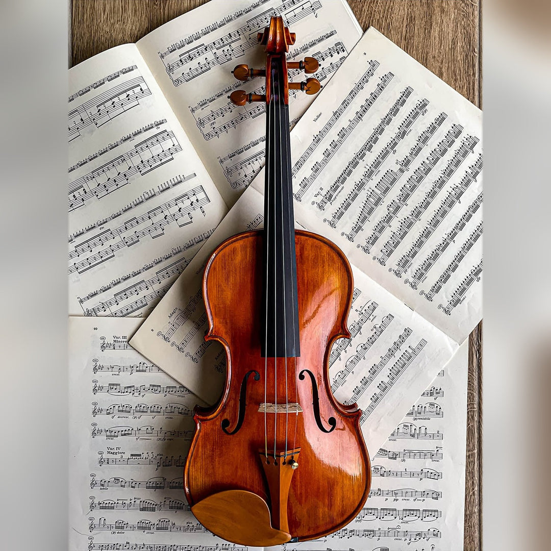 Morawetz Kinnhalter Violine Buchsbaum, ZK-4841B-MED