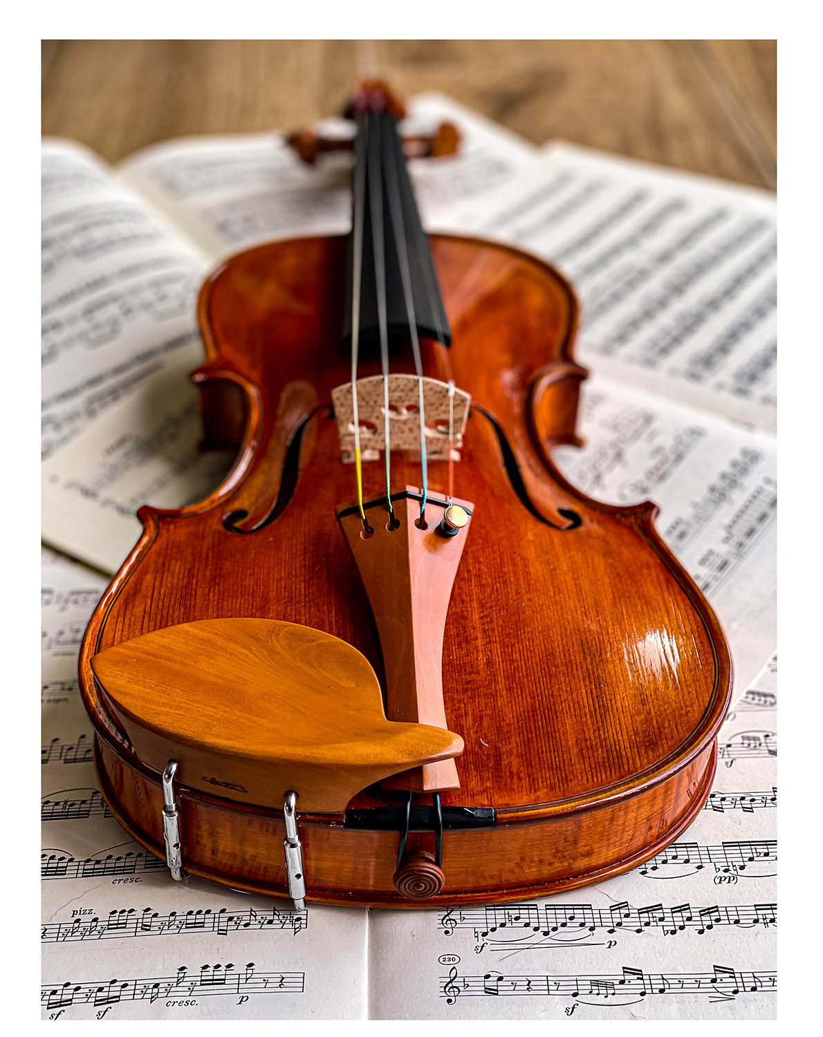 Morawetz Kinnhalter Violine Buchsbaum, ZK-4841B-MED