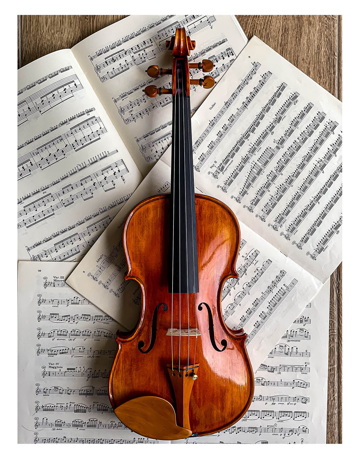 Morawetz Kinnhalter Violine Buchsbaum, ZK-4841B-MED