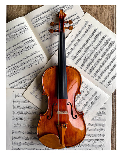 Morawetz Kinnhalter Violine Buchsbaum, ZK-4841B-MED