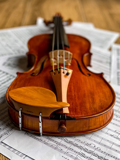 CANTONATE Violine #136 CA