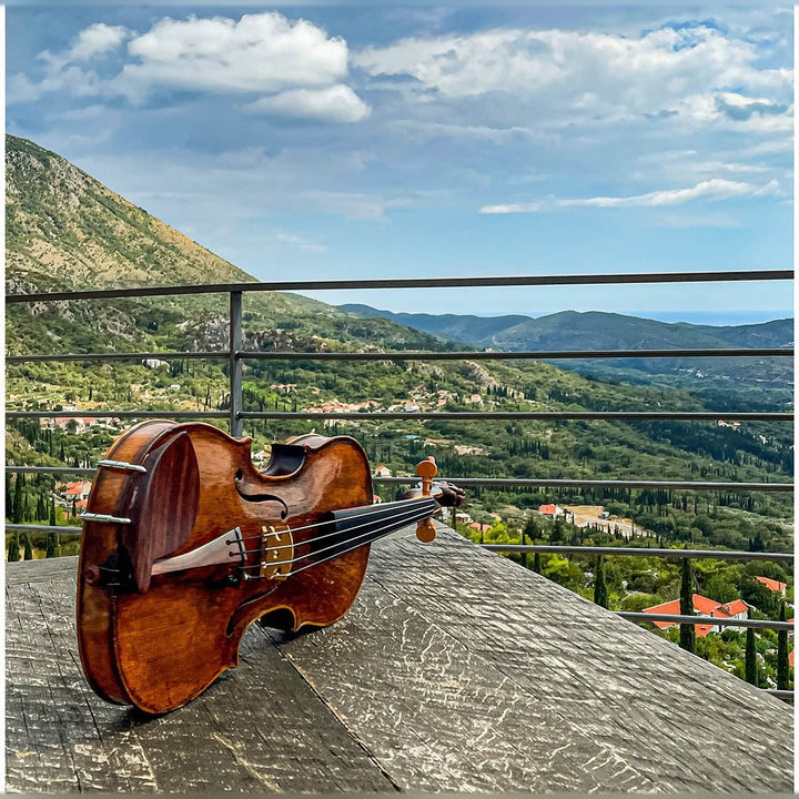Morawetz Kinnhalter Violine Palisander, ZK-4841R-LOW