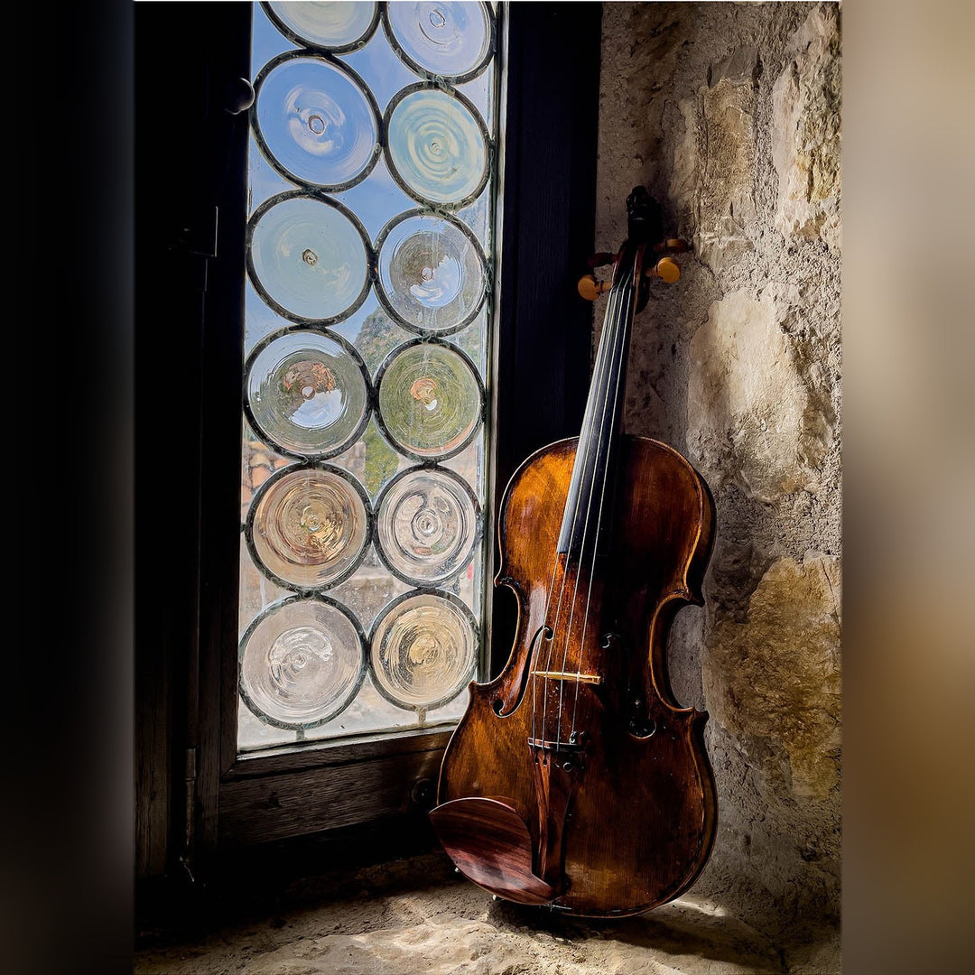 Morawetz Kinnhalter Violine Palisander, ZK-4841R-LOW