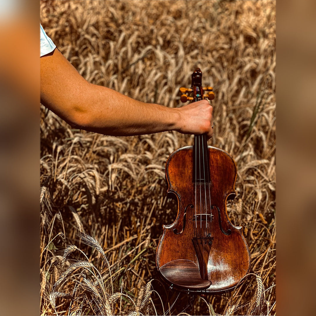 Morawetz Kinnhalter Violine Palisander, ZK-4841R-LOW