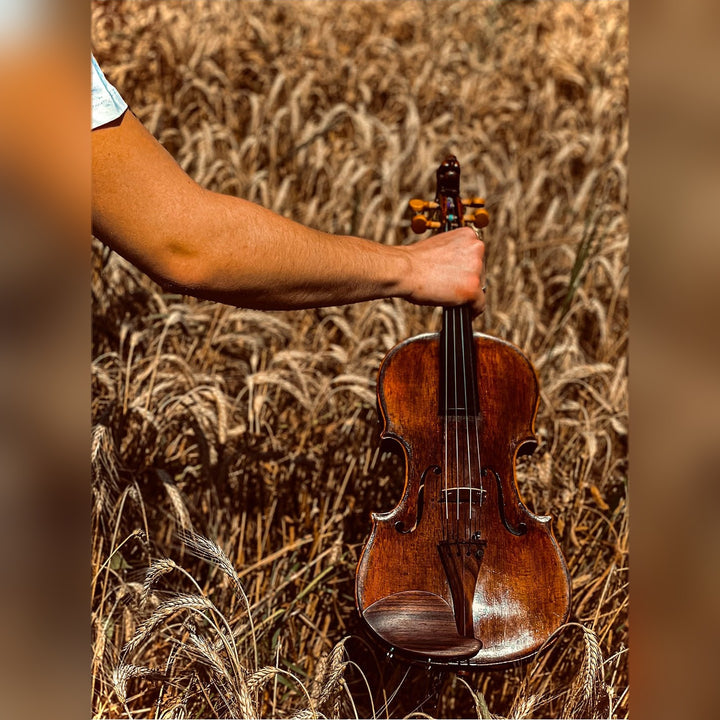 Morawetz Kinnhalter Violine Palisander, ZK-4841R-LOW