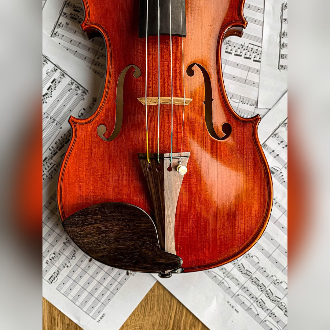 Morawetz Chinrest Violin in Rosewood, ZK-4841R-MED 