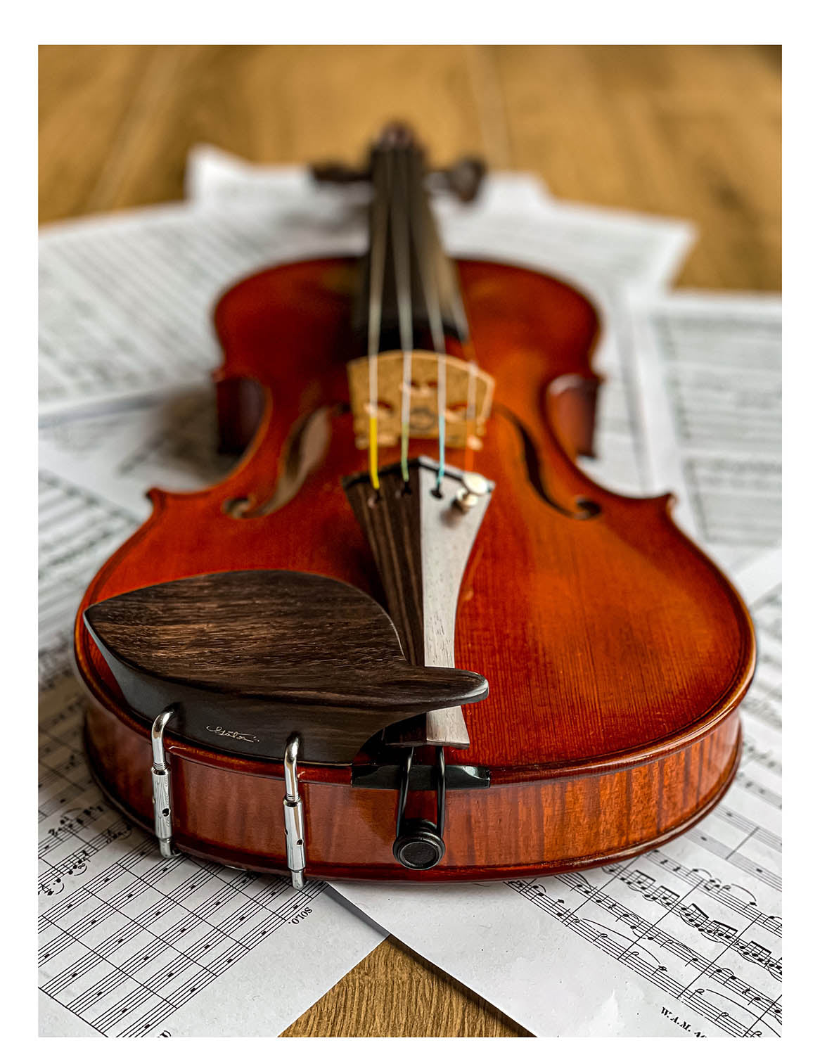 Morawetz Kinnhalter Violine Palisander, ZK-4841R-MED