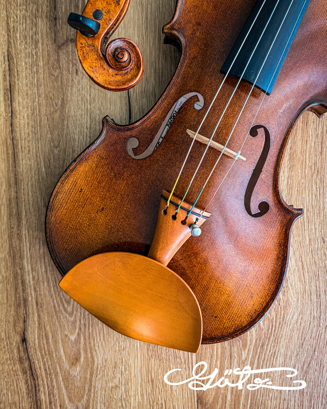 Flesch Traditionell Kinnhalter Violine Buchsbaum, ZK-4881