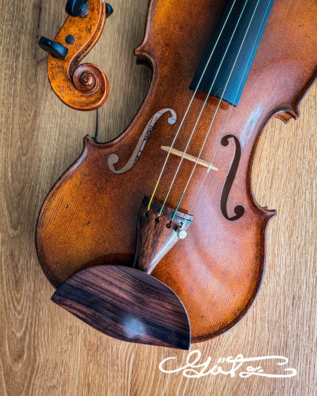 Flesch Traditionell Kinnhalter Violine Palisander, ZK-4882