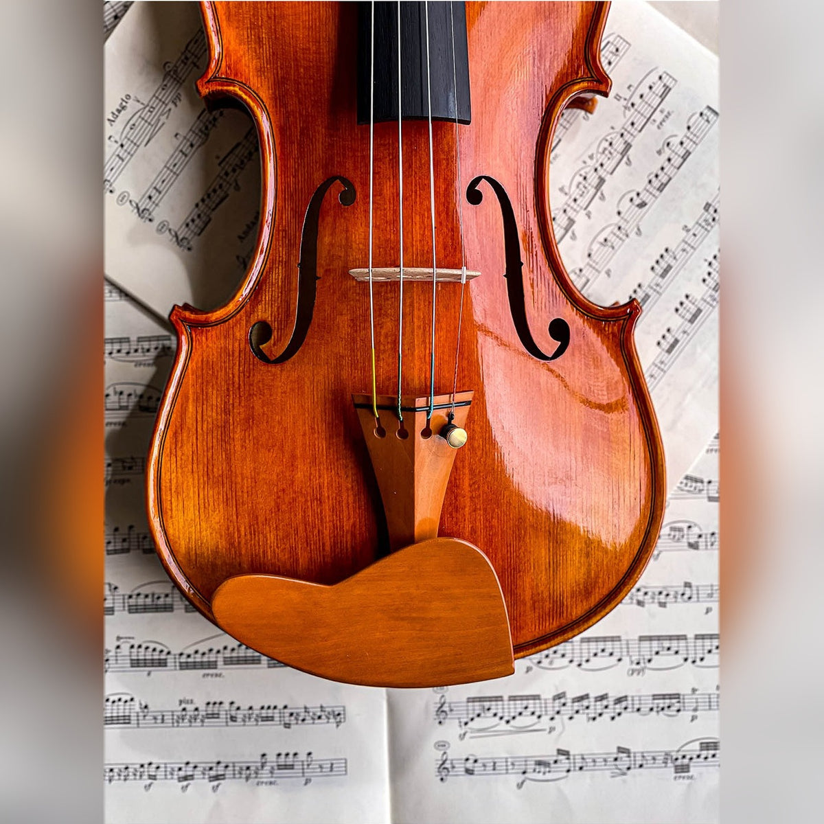 Berber Kinnhalter Viola Buchsbaum, ZK-V269B