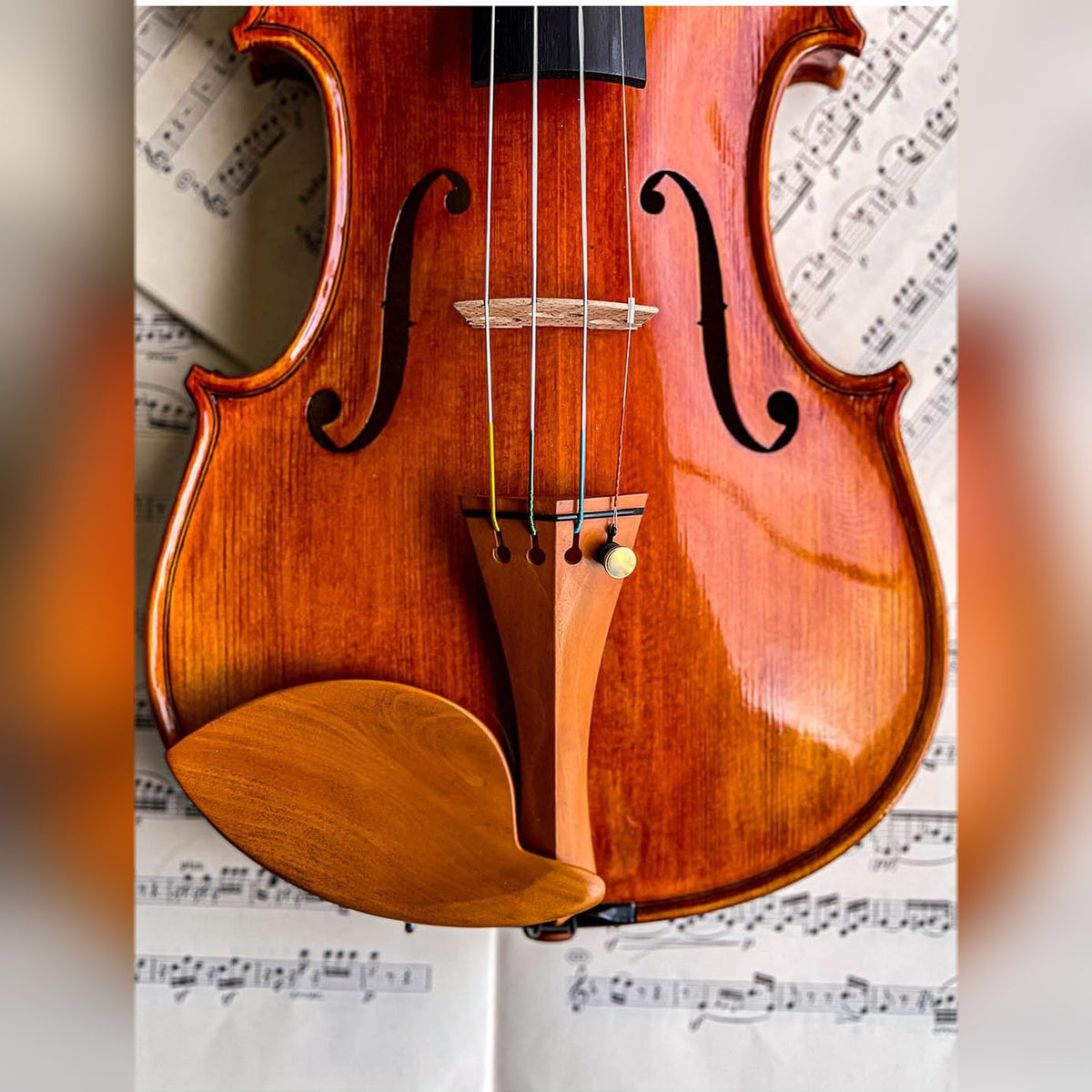 Morawetz Kinnhalter Viola Buchsbaum, ZK-V4841B-MED