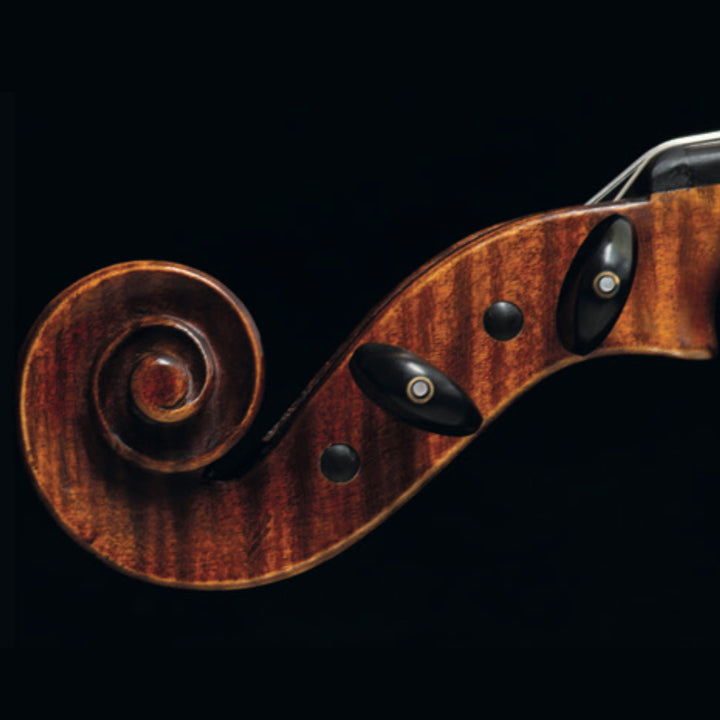 Wirbel Violine, Pariser Auge, ZW-954-THIN-SET