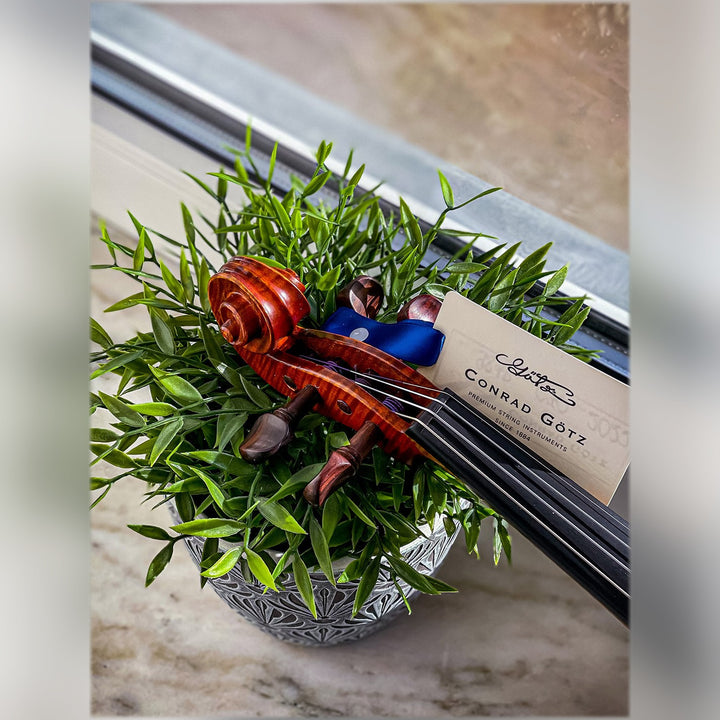 AGAPE Violine 