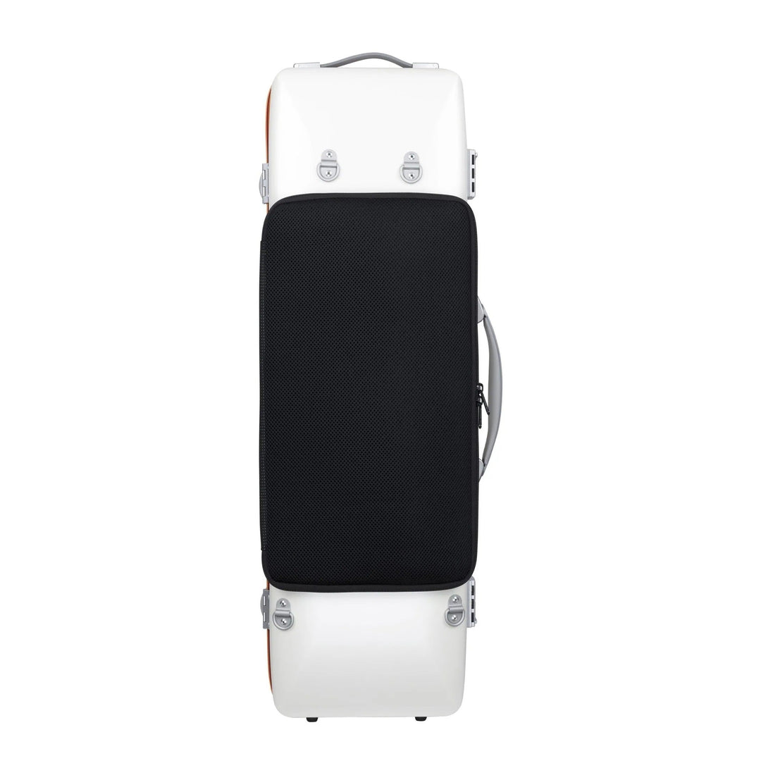 BAM Graffiti Hightech Oblong Violin Case, BAM-GRAF2018XL