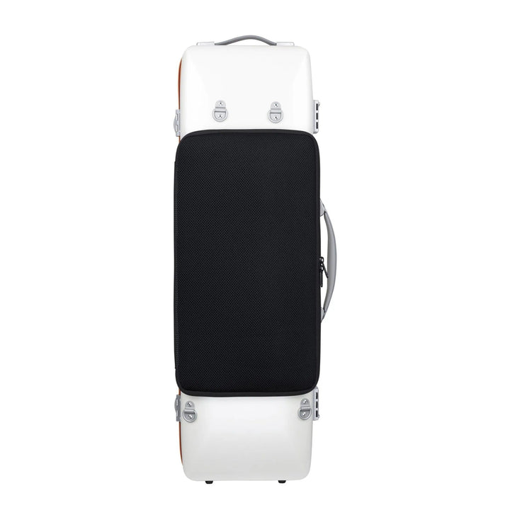 BAM Graffiti Hightech Oblong Violin Case, BAM-GRAF2018XL