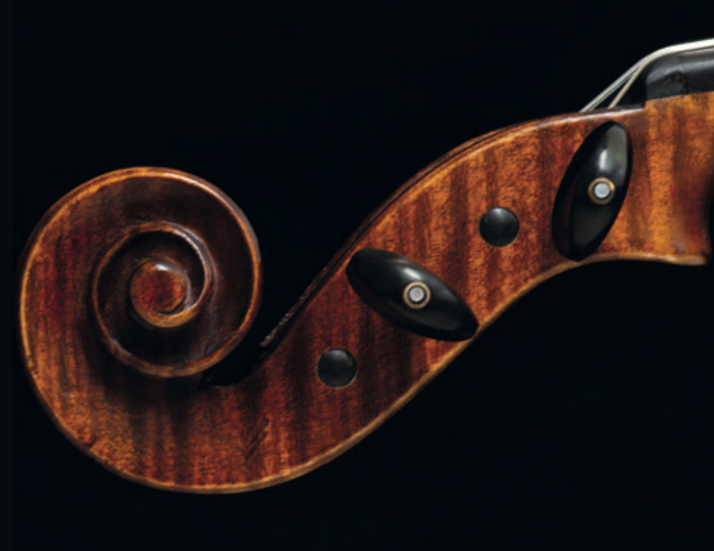 Pegs Violin, Parisian Eye, ZW-954-MED-SET