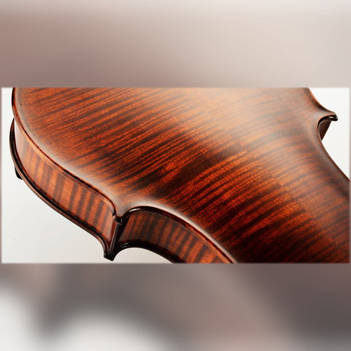 BOHEMIA Violine 