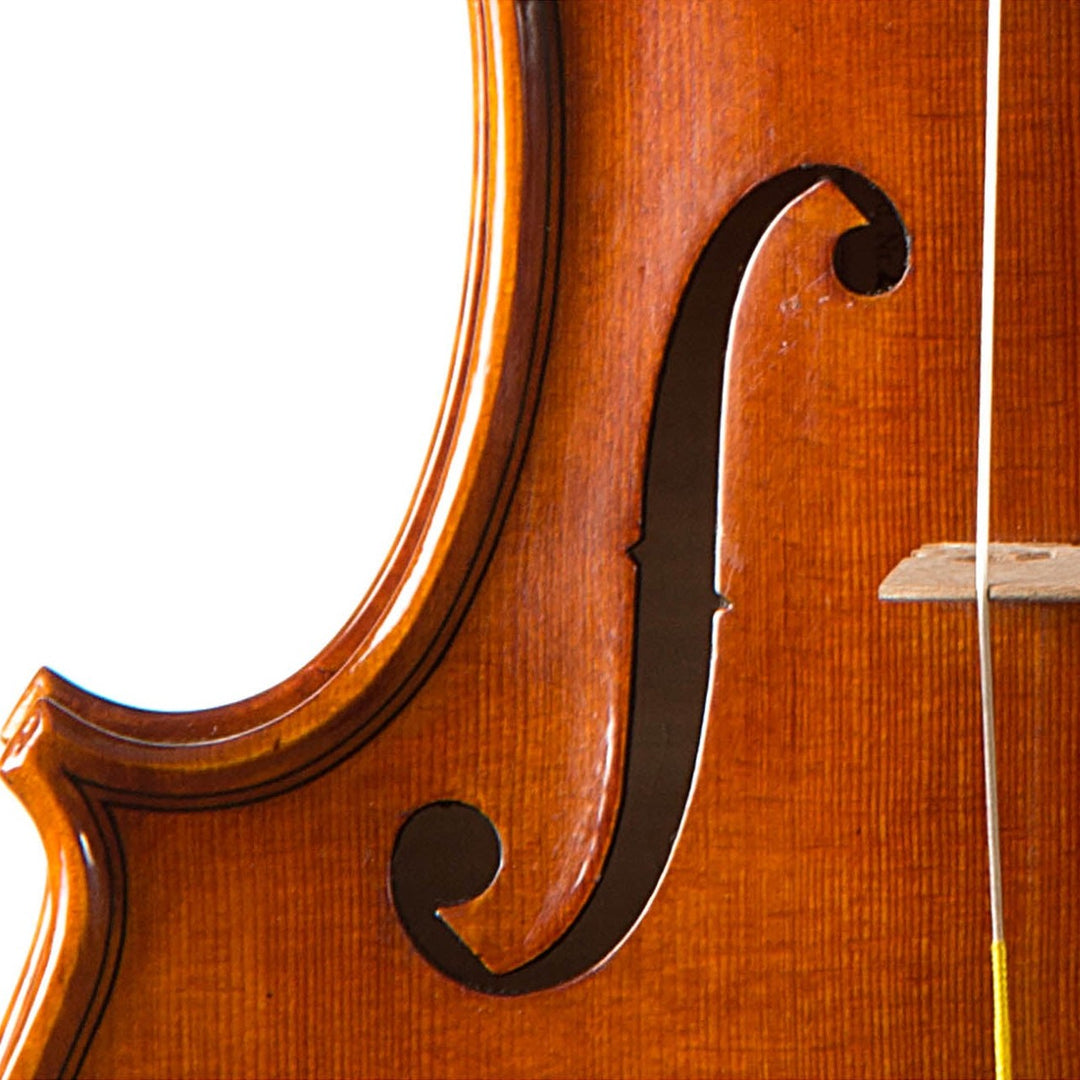 CANTONATE Violine 
