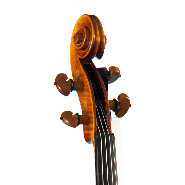 CANTONATE Violine 