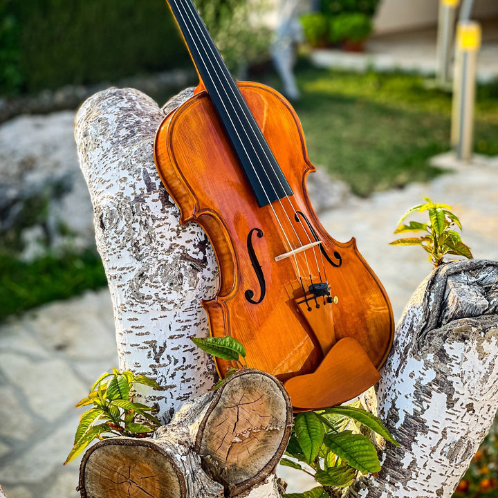 CANTONATE Violin 