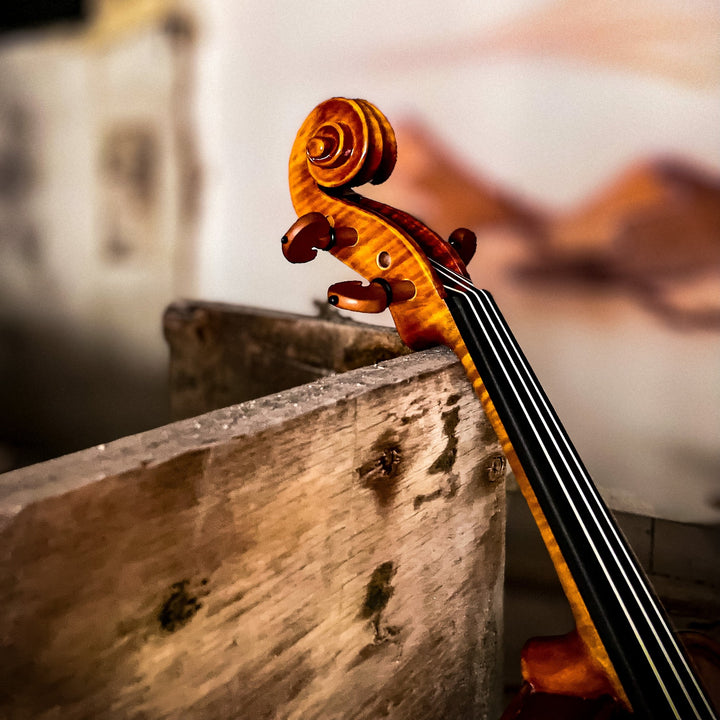 CANTONATE Violin 