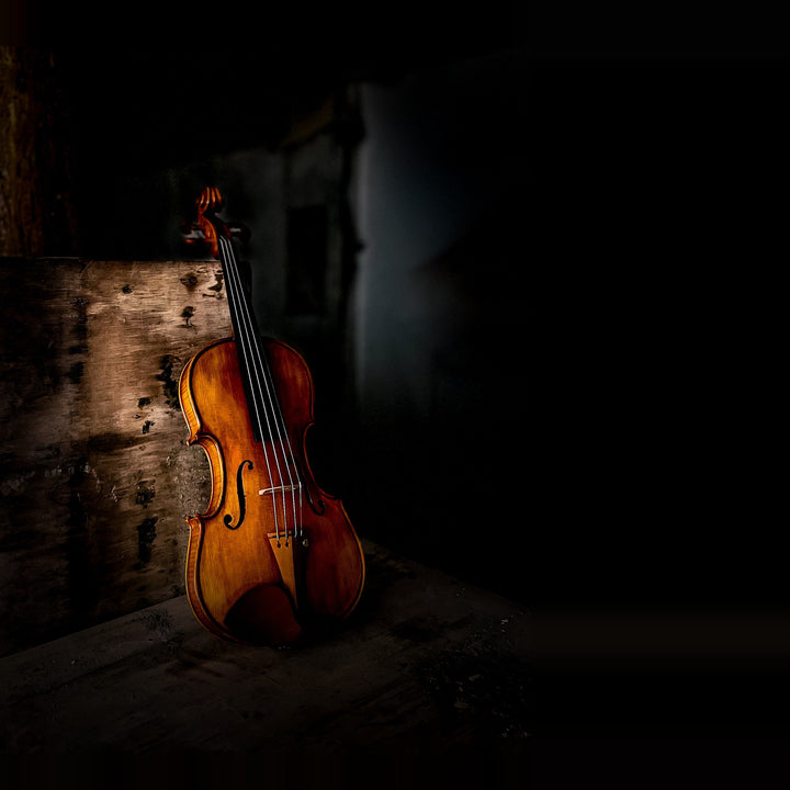 CANTONATE Violin 