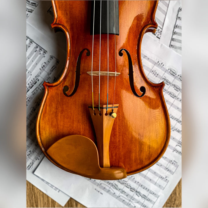 CANTONATE Violine 