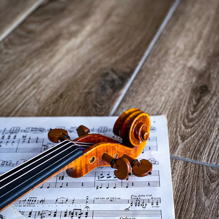 CANTONATE Violine 