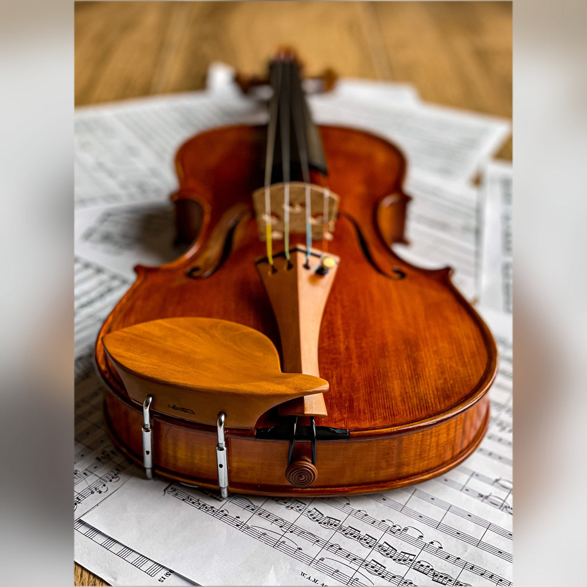 CANTONATE Violin #136 CA, CG-136CA