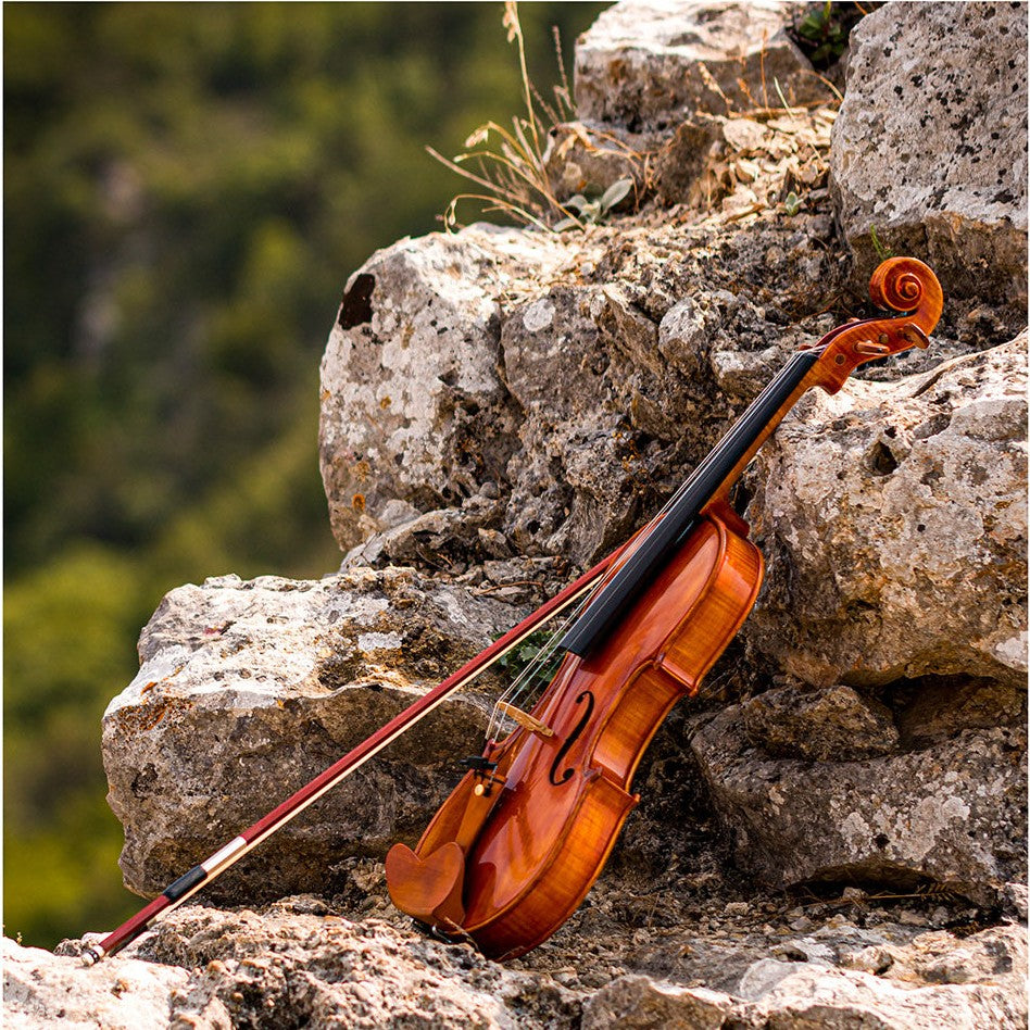 CANTONATE Violin 