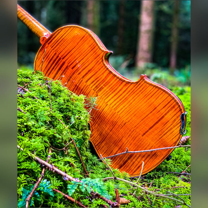 CONTEMPORARY Violine 