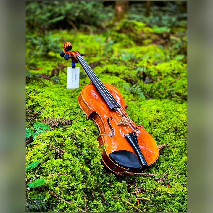 CONTEMPORARY Violine 