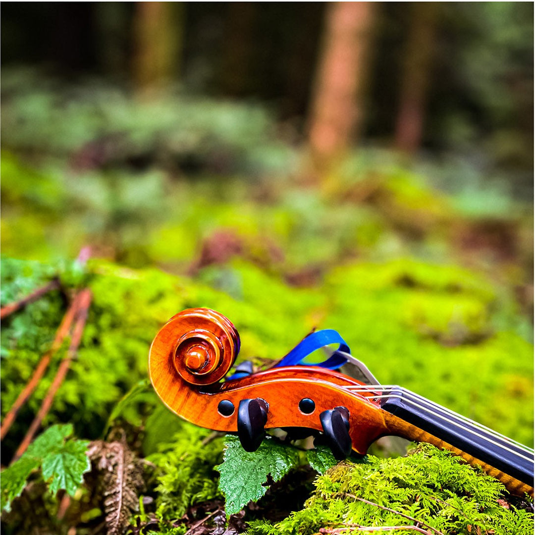 CONTEMPORARY Violine 
