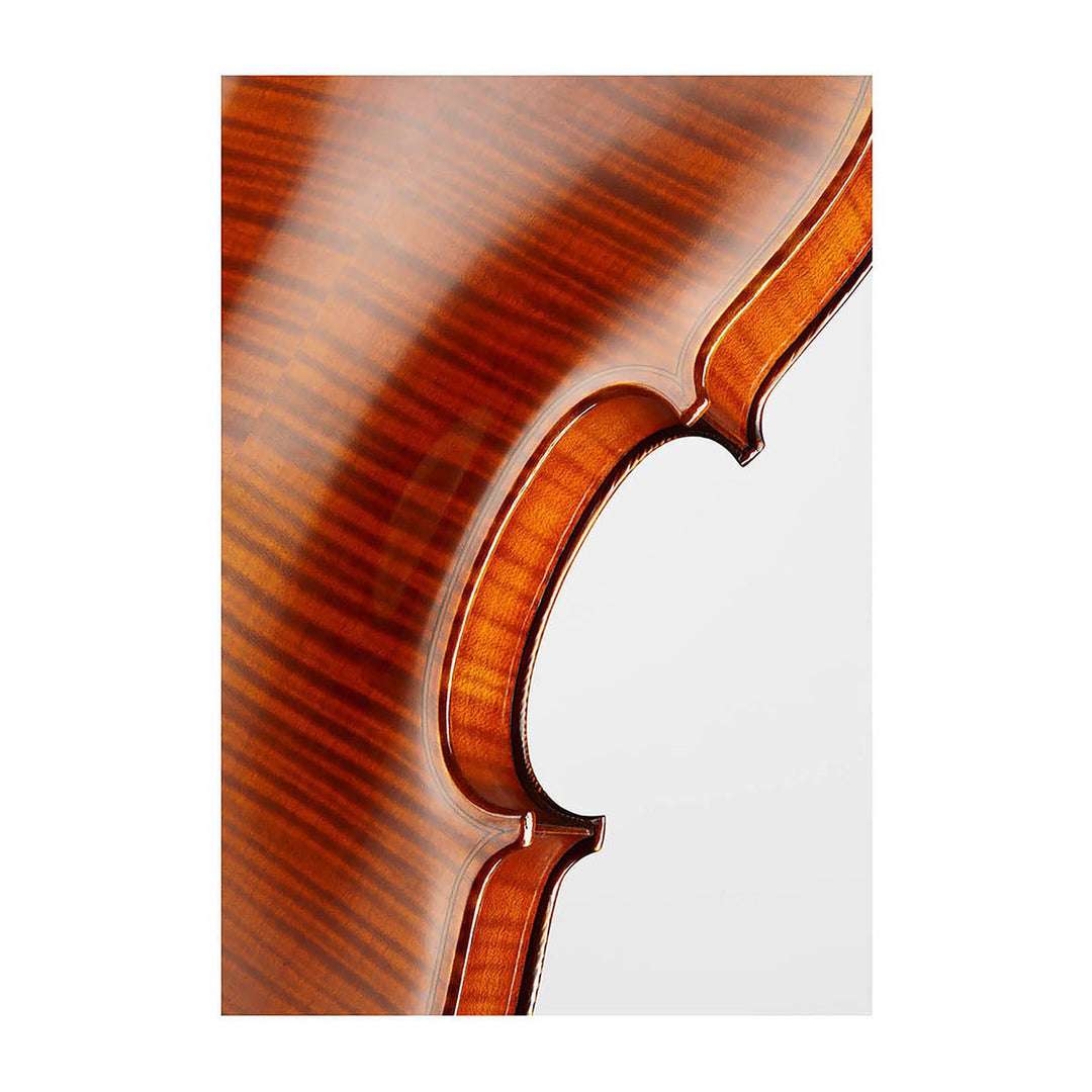 CONTEMPORARY Violine 