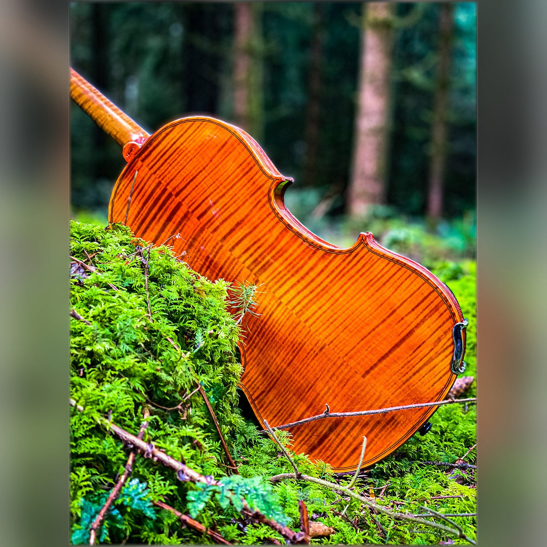 CONTEMPORARY Violine 