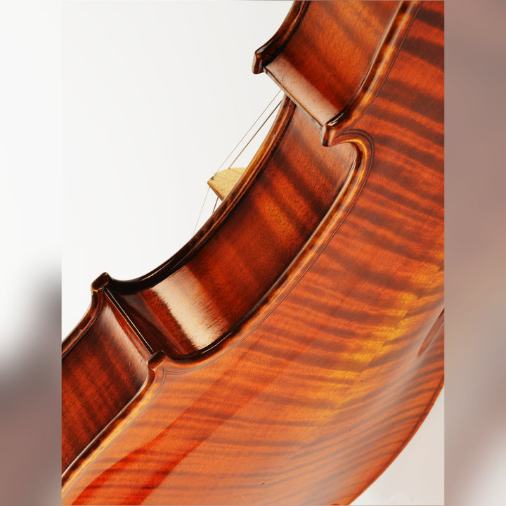CONTEMPORARY Violine 
